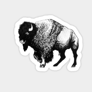 Buffalo Ink Bison Drawing Sticker